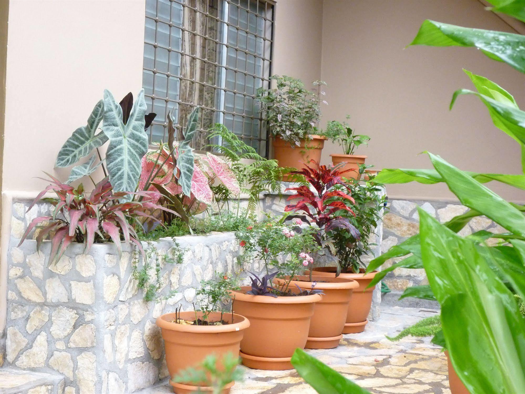 Hotel La Escalinata Copán Екстериор снимка